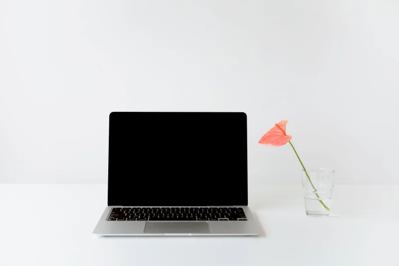 Trim the Fat: What Your Fresh phpBB Install Doesn't Actually Need